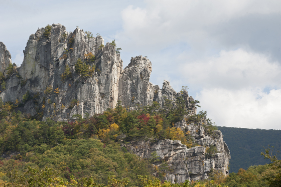 Monongahela National Forest