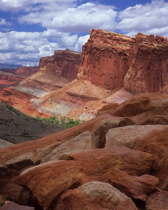Capitol Reef National Park