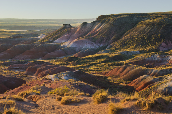 Petrified Forest National Park