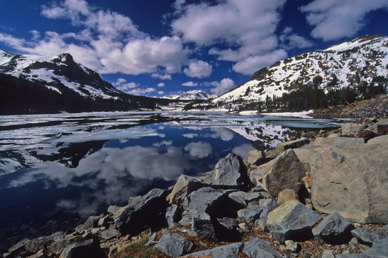 Yosemite National Park
