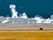 Yellowstone National Park