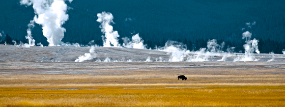 Yellowstone National Park