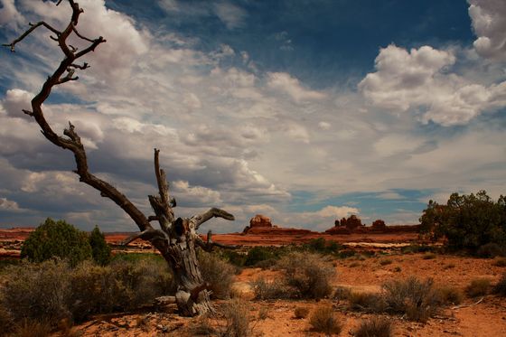 canyonlands