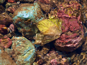 Glacier National Park