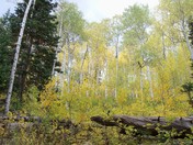 Silver Lake Flat Trailhead
