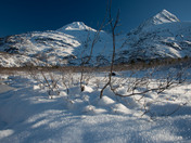 Chugach National Forest