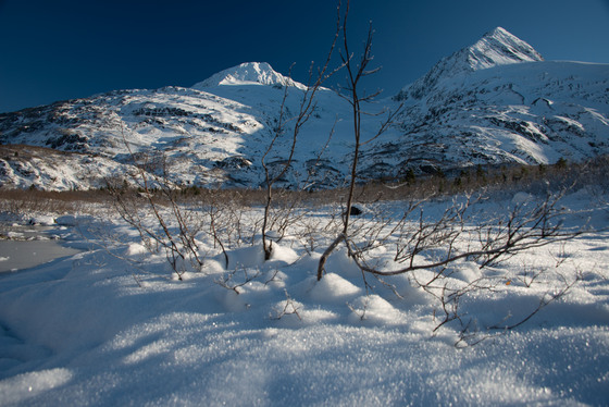 Chugach National Forest