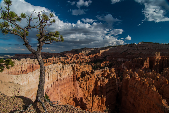 Bryce Canyon National Park