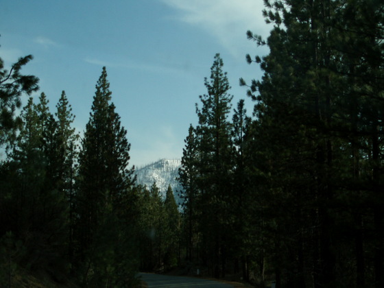 Sequoia National Forest California