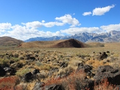 Big Pine Volcanic Field
