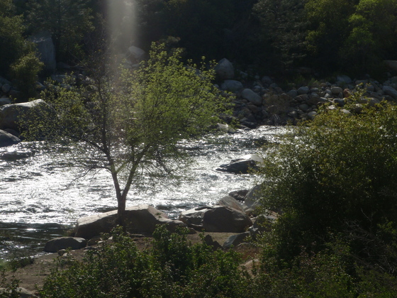 chico flats, sequoia national forest, california