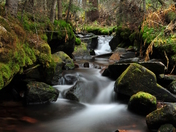 Dixie National Forest