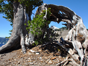 Crater Lake National Park