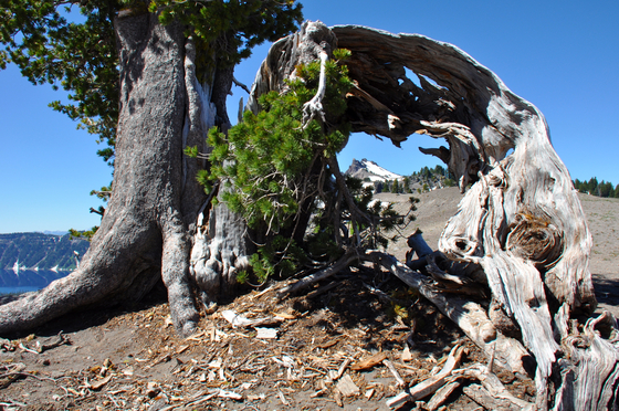 Crater Lake National Park