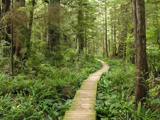 Olympic National Park
