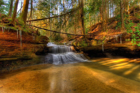 Daniel Boon National Forest