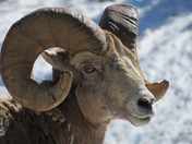 Glacier National Park