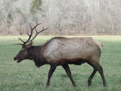 Great Smoky Mountains National Park