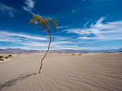 Death Valley National Park