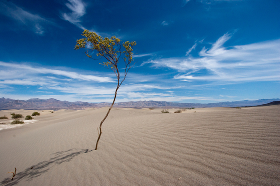 Death Valley National Park