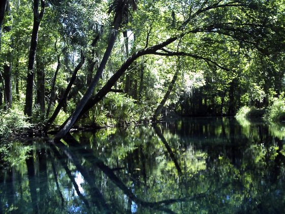 Silver Springs Ocala Florida