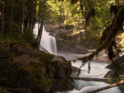 Ranier National Park