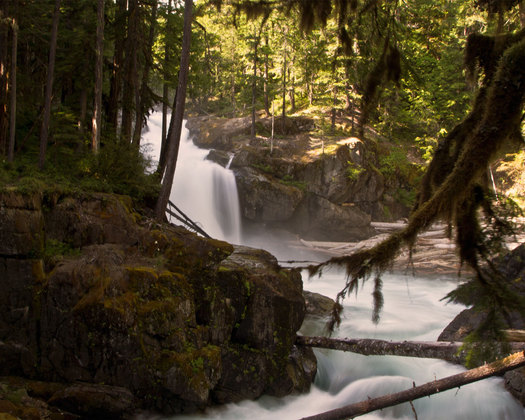 Ranier National Park