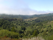 Muir Woods National Monument