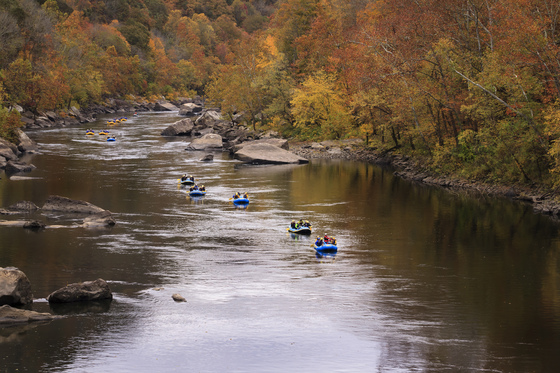 The New River Gorge