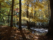 the great smokie mountains national park