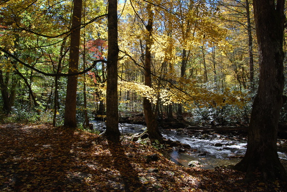 the great smokie mountains national park