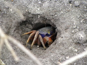 Biscayne national park 