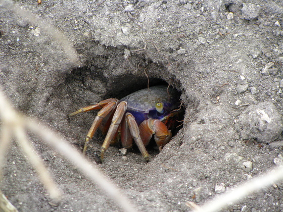 Biscayne national park 