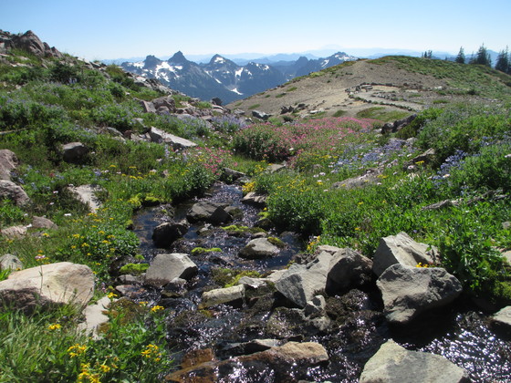 Mount Rainier National Park