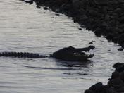 St. Marks National Wildlife Refuge