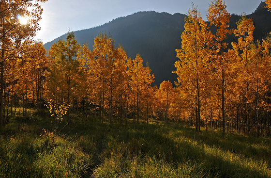 White River Nat'l Forest