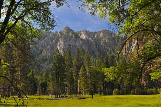 Yosemite Nat'l Park
