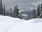 Mount Rainier National Park