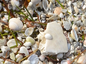 DeSoto National Memorial