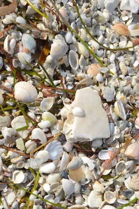 DeSoto National Memorial