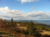 Arcadia National Park