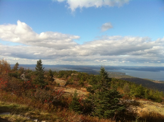 Arcadia National Park