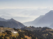Mt Rainier National Park