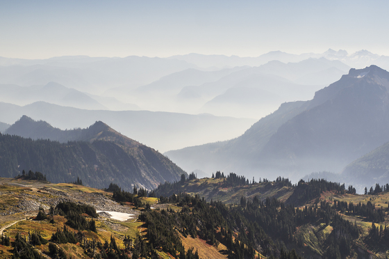 Mt Rainier National Park