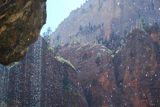 Zion National Park