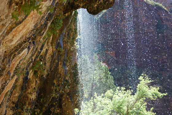 Zion National Park