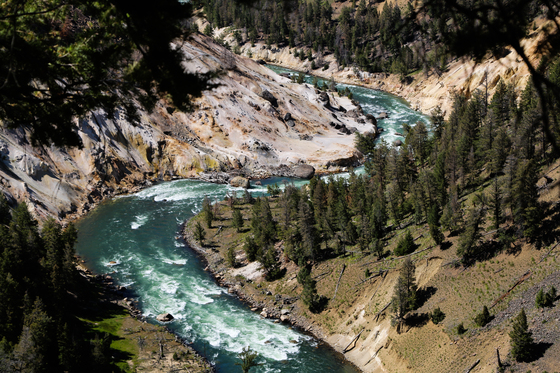 Yellowstone National Park