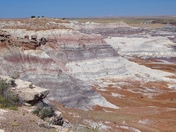 Petrified Forest National Park
