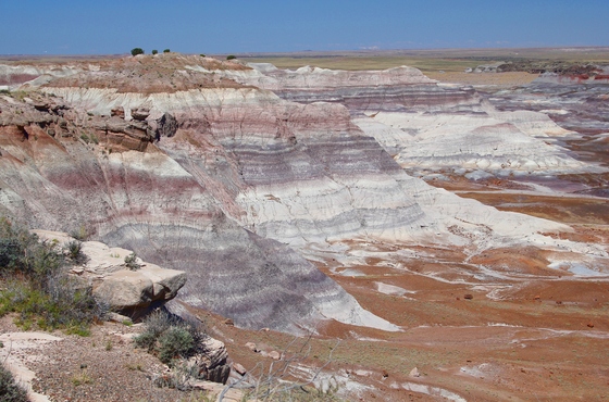 Petrified Forest National Park
