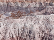 Petrified Forest National Park